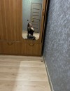 Фотография №3732272