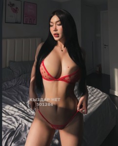 Проститутка Алматы Девушка№501284 Амина Фотография №3766857